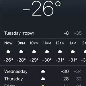 Meet your Posher, Arlene